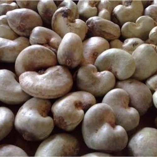 Cashew Nuts - Raw Light Brown, Heart-Shaped | Protein Rich, Natural Flavor, Long Shelf Life