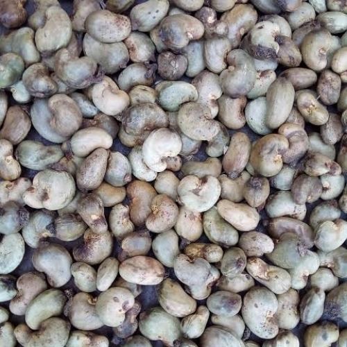 Raw Cashew