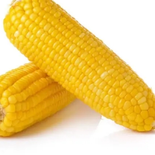 Yellow Corn