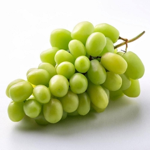 Green Grapes 