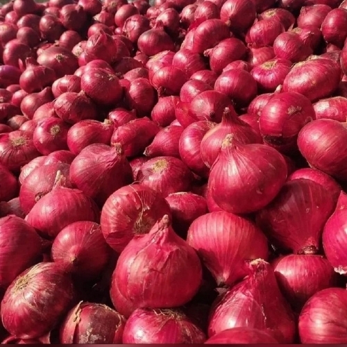 Loose Fresh Red Onion