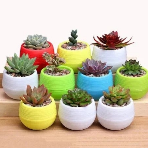 Plastic Flower Pot