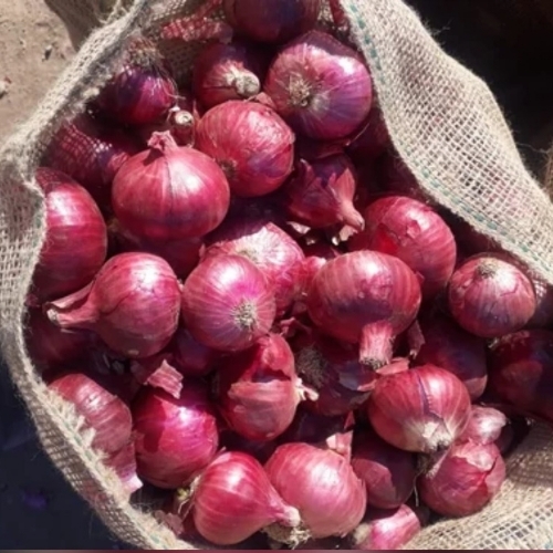 Red Onion