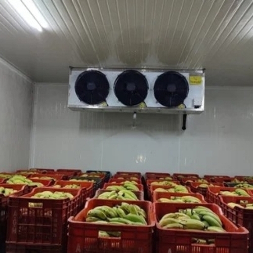 Cold Room