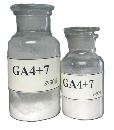 Ga4+7