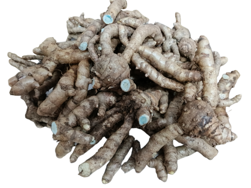 Black Turmeric - Pure Curcuma Caesia Rhizomes, Black Color | Strong Aroma, Bitter Taste, Medicinal Herb, Organic