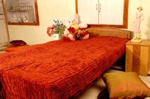 Handwork Quilt - Full Size, Printed Pattern | Shrink-resistant, Tear-resistant, Smooth Texture, Winter Use
