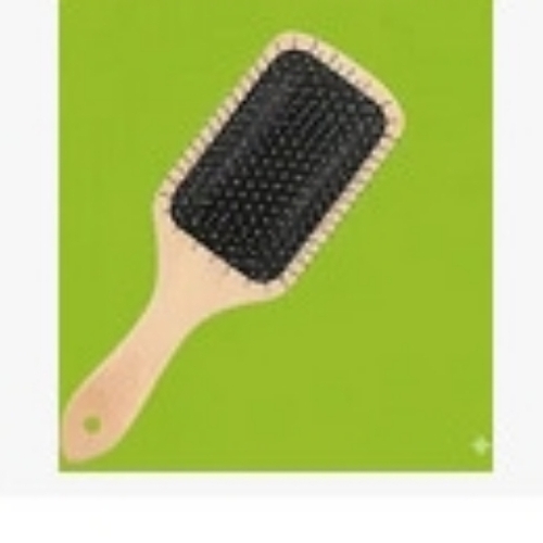 Wooden Hair Brush