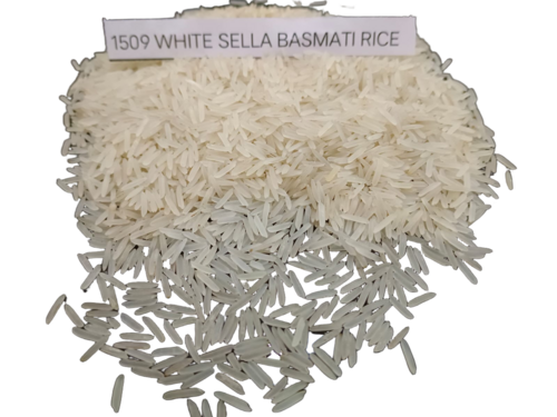 1509 White Sella Basmati Rice - Admixture (%): 0.5%