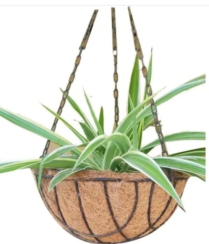 Coir Pot And Basket - Attributes: Anti-Bacterial