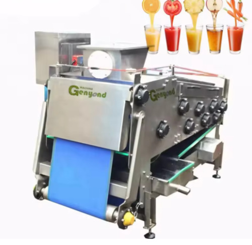 Belt Type 500kg/H Apple Fruit Juicer