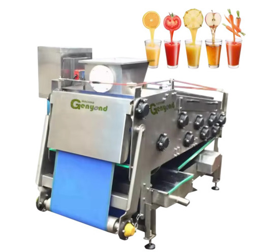 Complete Natural Fruit Juice Hot Filling Machine - Application: Beverage