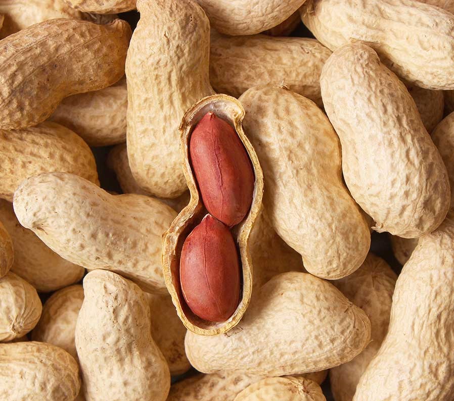 Groundnuts (Peanuts)