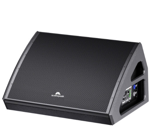 Moni-115 Stage Monitor Loudspeaker