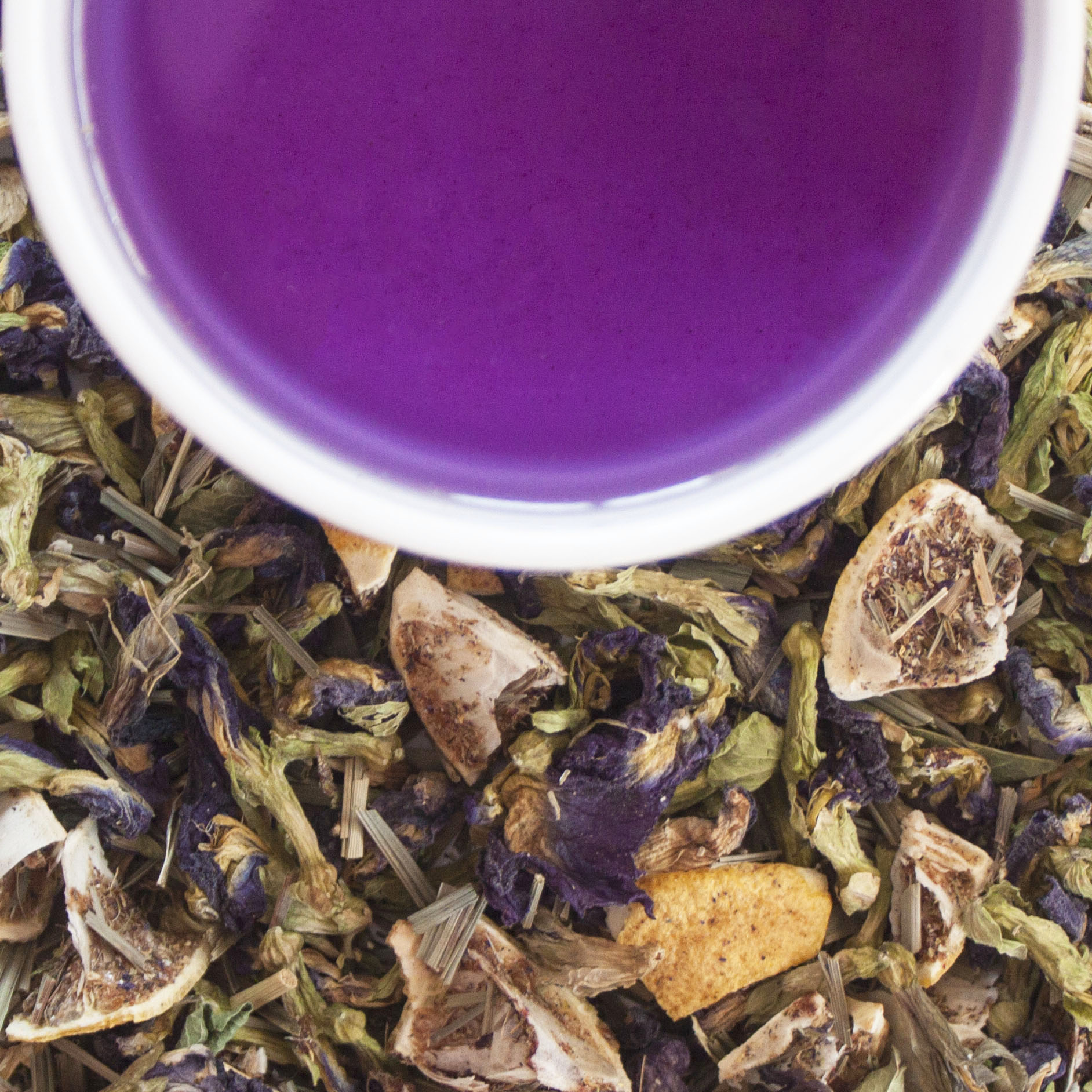 Butterfly Pea Flower Tea