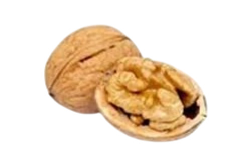 Fresh Walnut