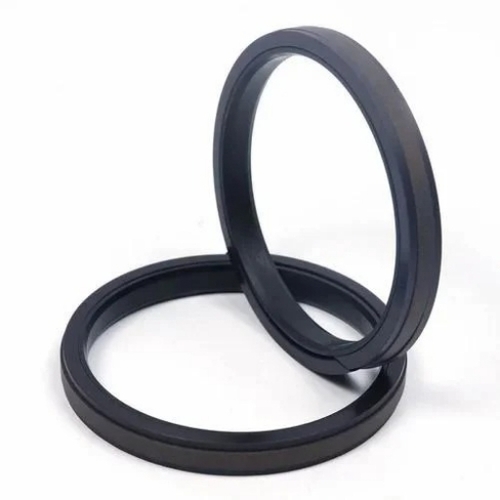 Black Automobile Oil Seal