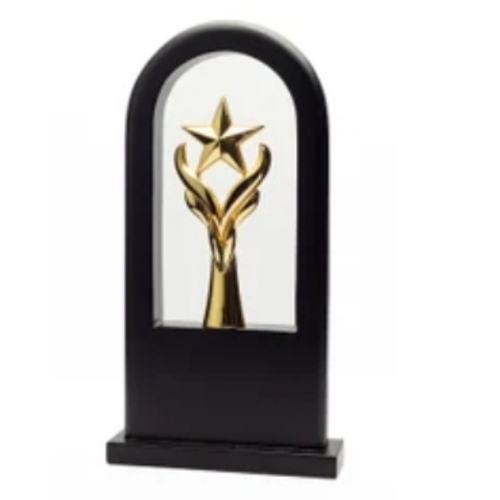 Customized Wooden Trophy