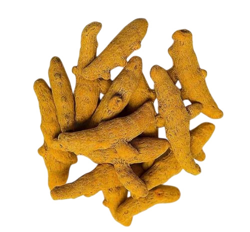 Gold Turmeric Finger