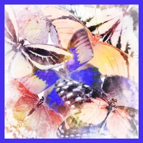 Multicolor Printed Polyester Georgette Scarf - Gender: Women