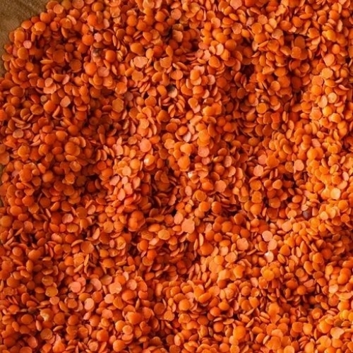 Organic Split Masoor Dal - Red, Split, Dried | Organic, Hygienically Packed, Long Shelf Life