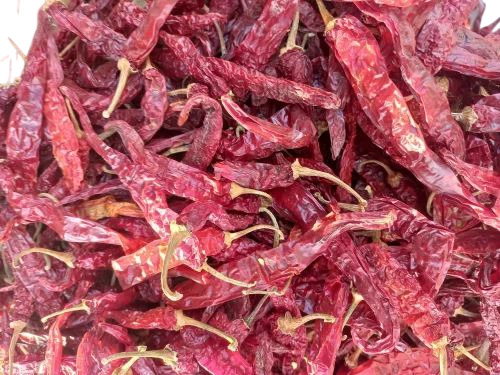 S17 Teja Dry Red Chilli
