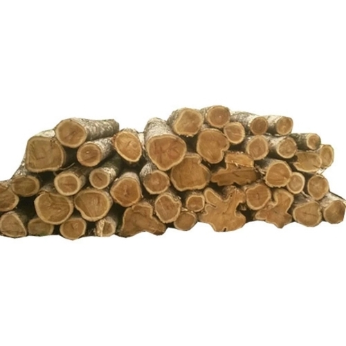 Teak Wood Logs