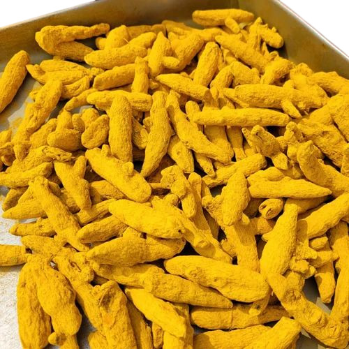 Turmeric Finger - Color: Yellow