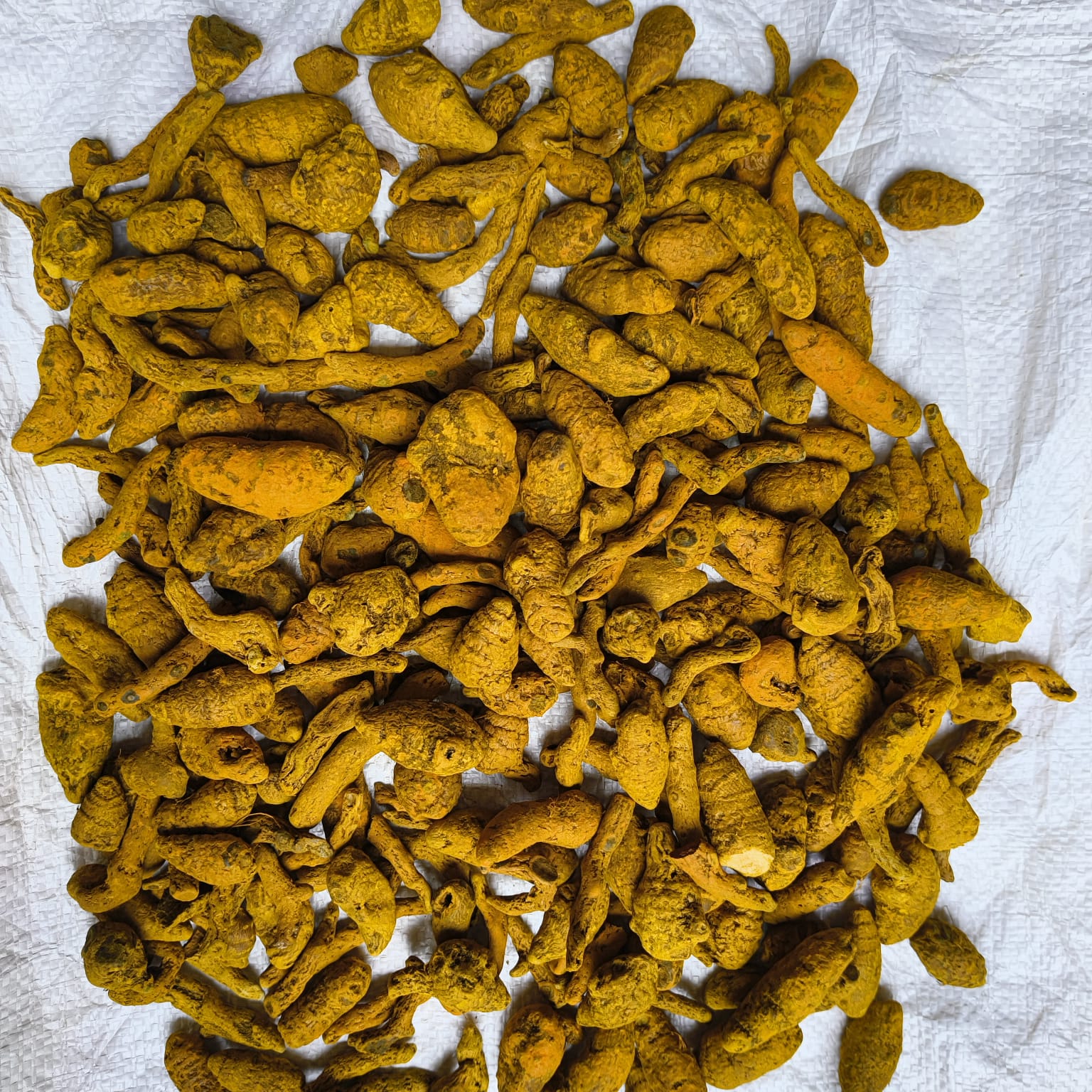 Erode Turmeric Finger - Premium Natural Spice