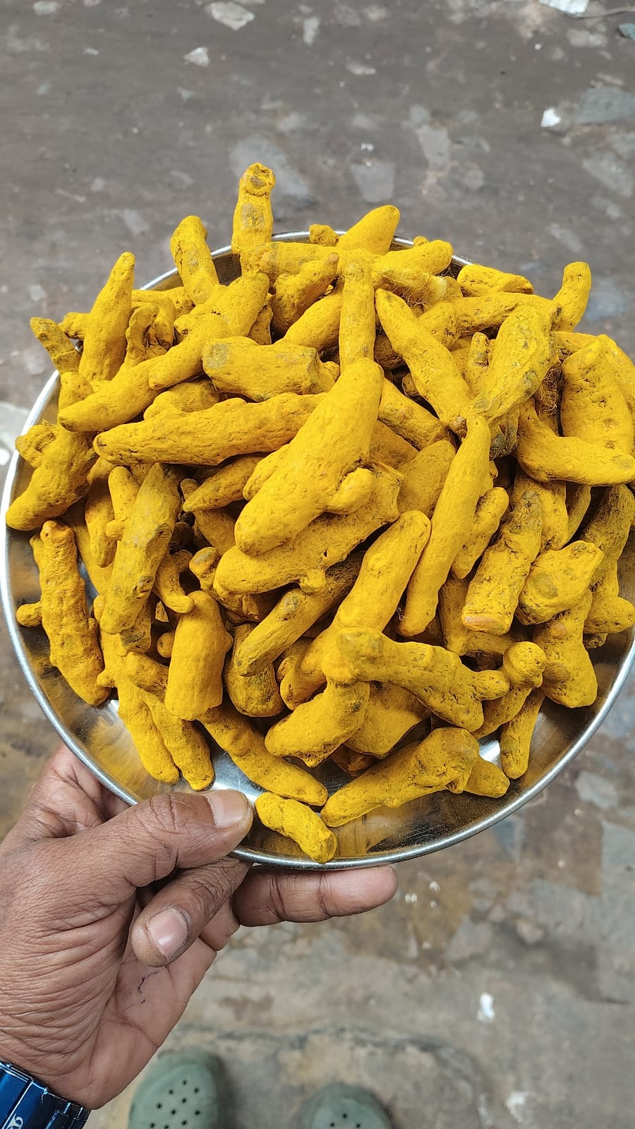 Odisha Turmeric Finger - Premium Natural Spice