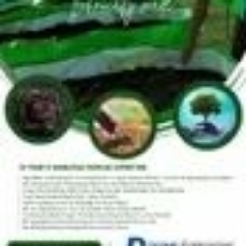 Hdpe Vermi Bed