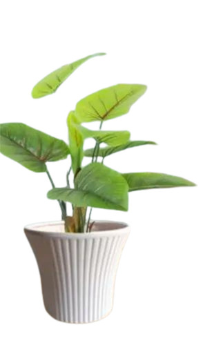 Stripe Frp Planter - FRP 20cm H x 23cm D White Glossy | Drainage Holes UV Resistant Decorative