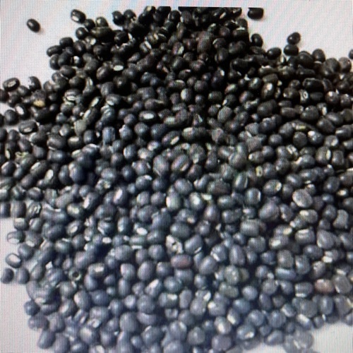 Black Moong Daal