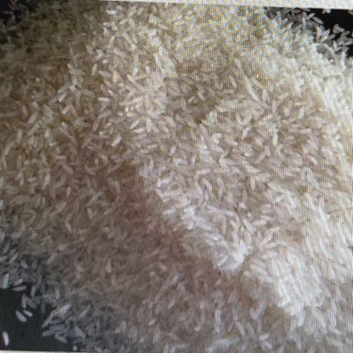 Wada Kolam Rice - Organic White, 99% Purity | Short Grain, Non-Sticky, Aromatic, Soft Cooked, Long Shelf-Life, Nutrient Rich