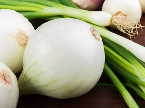 Mild Flavor White Onion - Dehydration Method: Yed