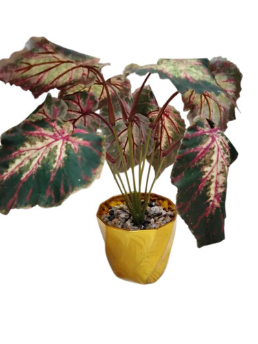 Plastic Artificial Big Leaf Bunch - Plastic, Standard Size, Green | Lightweight, Handmade, Fine Finished, Durable