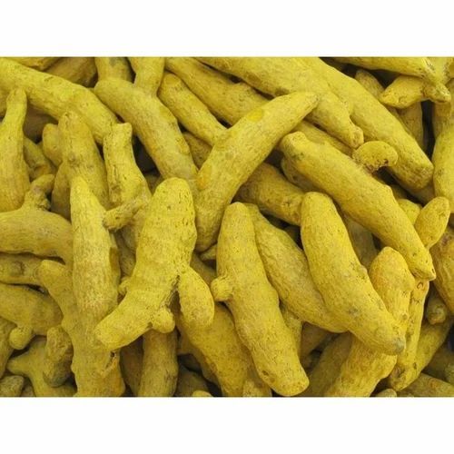 Polished Turmeric Finger