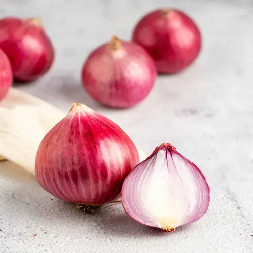 Red Onion - Cultivation Type: Seasonal