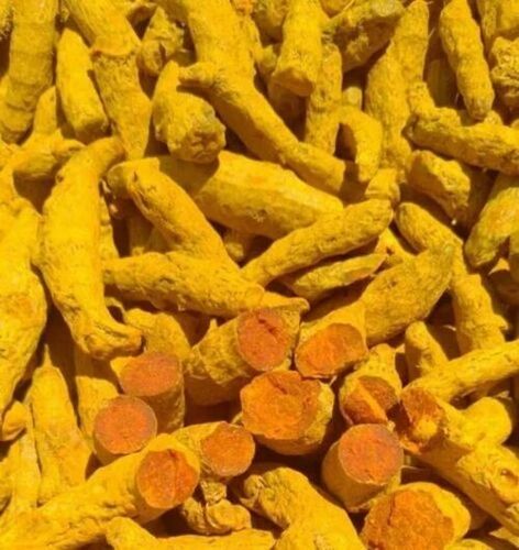Single Polished Turmeric Finger