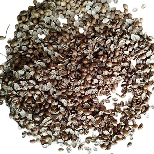 Fresh Indian Eagle Coriander Seeds - Brown Color, Conventional Cultivation | Uniform Split Seeds, Pure >99%, 24 Months Shelf Life