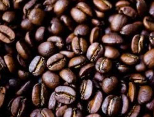 10 Kg Arabica A Roasted Coffee Beans - Organic Grade A 6 Months Shelf Life | Dark Roast Whole Beans Bold Taste