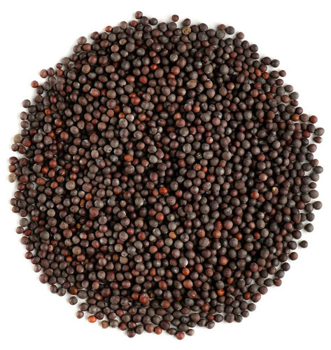 Black Mustard Seeds