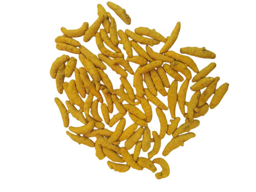 Nizamabad Turmeric Finger - 4 Inch Length, Bright Yellow, Food Grade | Double Polished, Moisture <8%, Curcumin 2%