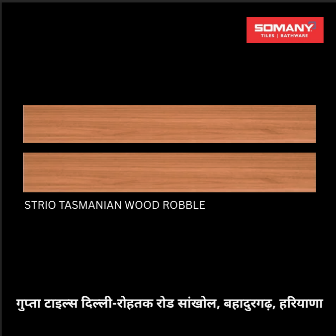 8X48 Strip Somany G.V.T / Vitrifried Floor And Wall Tiles - Color: Multi Color