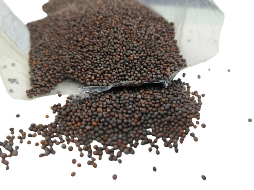 Black Mustard Seeds