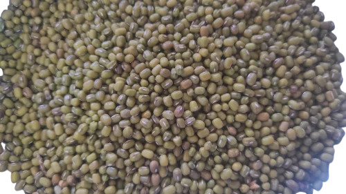 Green Moong Seeds