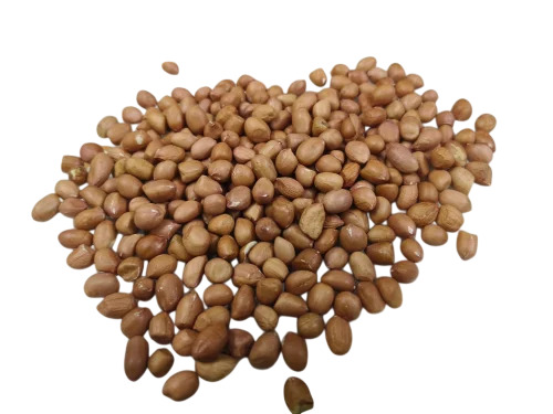 Groundnut Seeds - White Color Dried Raw Variety | Clean Uniform Seeds Fresh Natural Taste Suitable for Roasting and Cooking