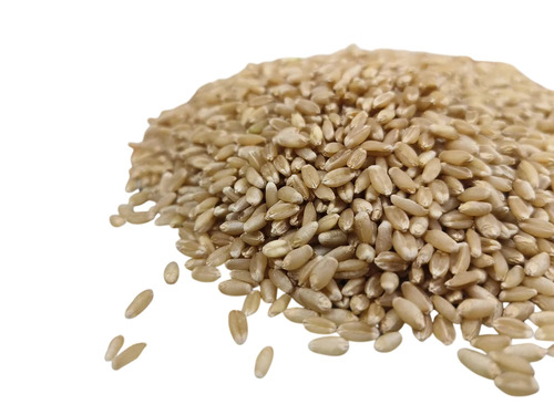 Lokwan Wheat Grain - Brown Hard Wheat Grade A | Clean Uniform Grains Good Milling Performance 12 Months Shelf Life