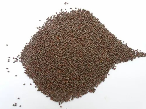 Black Mustard Seeds