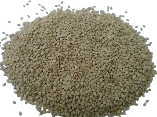 Natural Sesame Seed - White, Conventional | Clean Natural Seeds, Fresh Nutty Aroma, Uniform Quality, Cooking & Roasting
